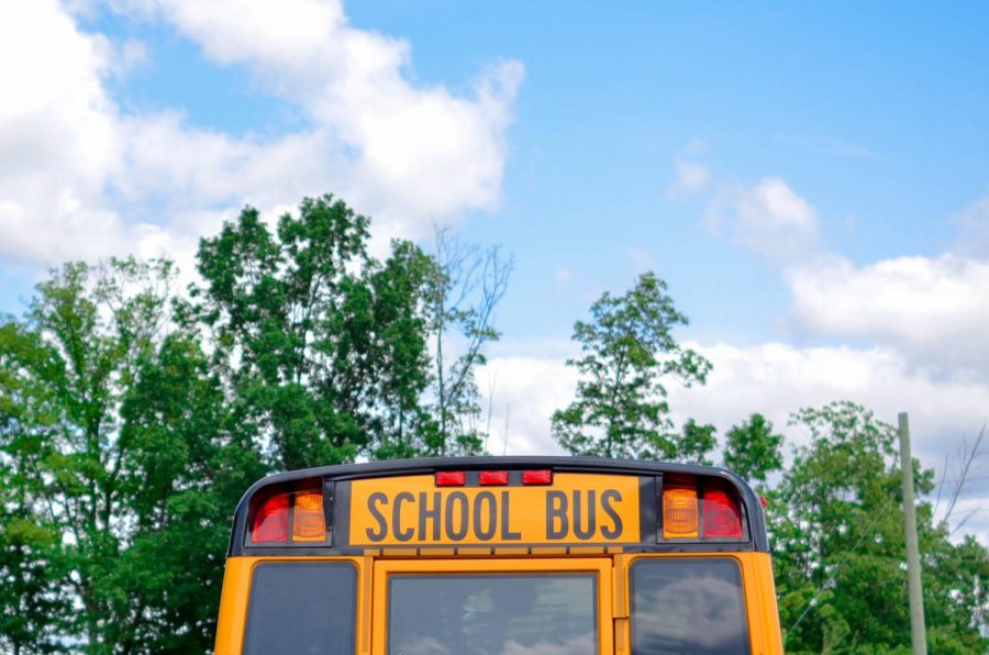 Field trips are responsible for some of the most powerful learning experiences a students can have—so what happened to them?
