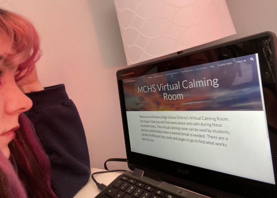 Though many are concerned about COVID-19 and their physical health, MCHSs social services department has created the Virtual Calming Room to support the mental health East and West students — even if theyre not in the building.