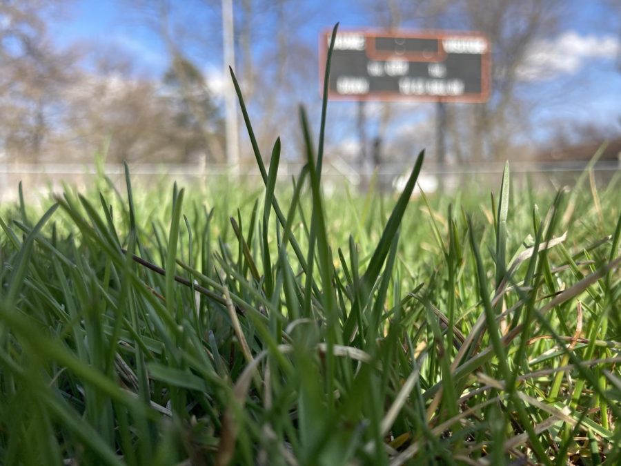 Starting early this summer, McCrackens grass football field will be replaced with turf to help with drainage. Improvements will also allow other teams to compete on the field.