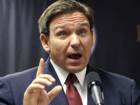 Florida Gov. Ron DeSantis proposed the Stop W.O.K.E. Act late last year and signed the Stop WOKE Act into law on April 22. 
