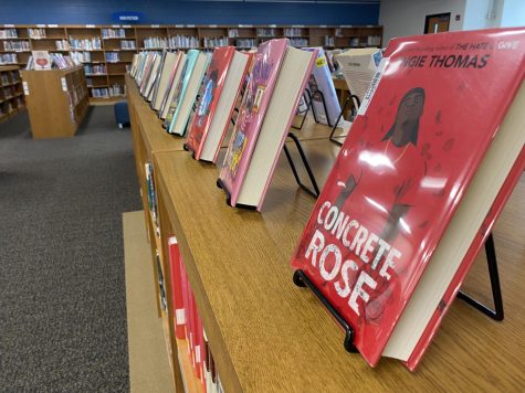 13 McHenry County libraries are participating in the Library Lovers Expedition. The events come in an attempt to bring more patrons into the libraries. 