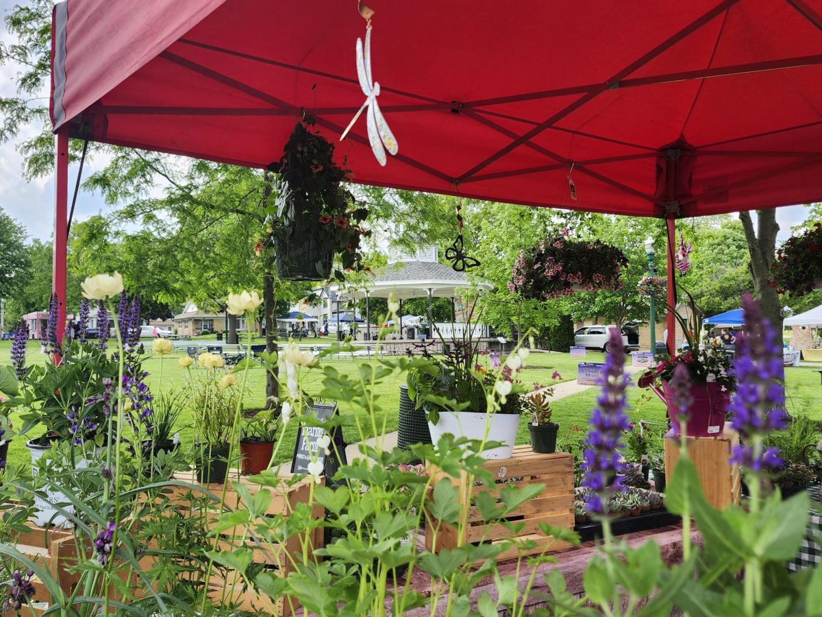 Local vendors and businesses gathered at the Pearl Street Market at Veterans Park on May 16 during the first event of the season.