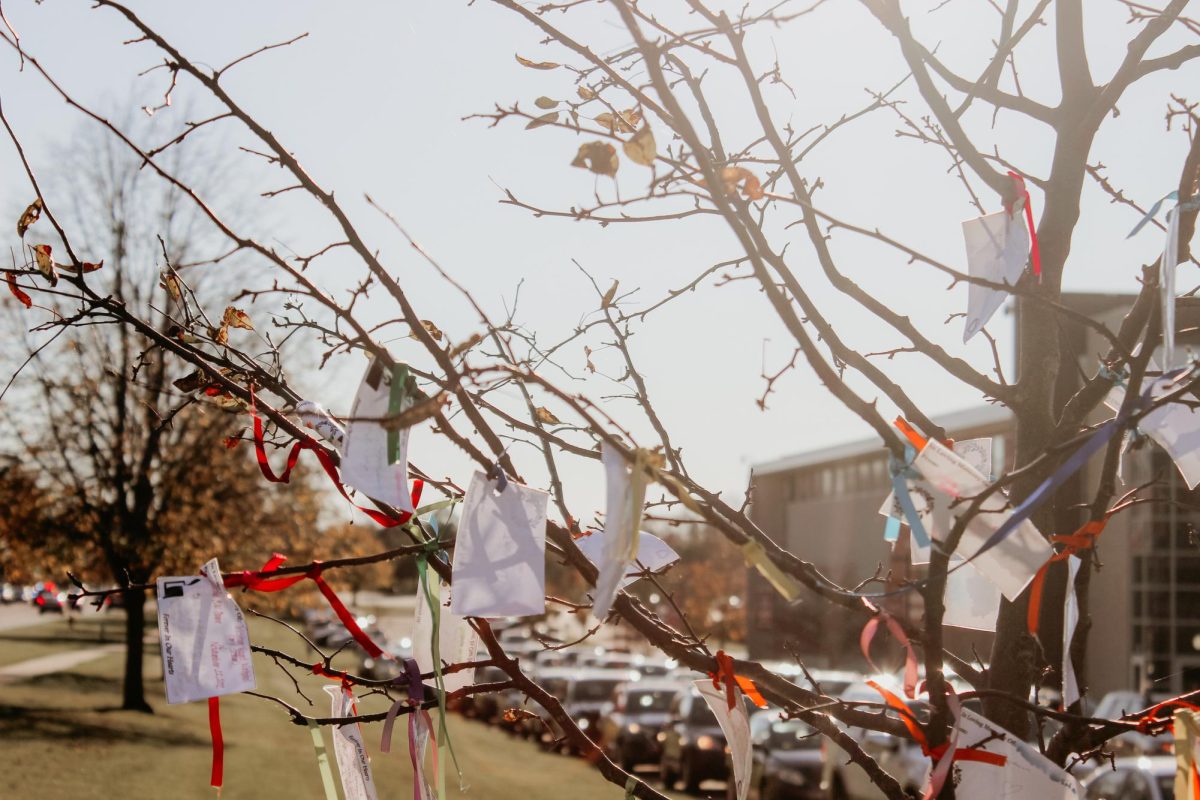 At MCHS's Upper Campus, students have planted a tree outside the school to honor passed loved ones.