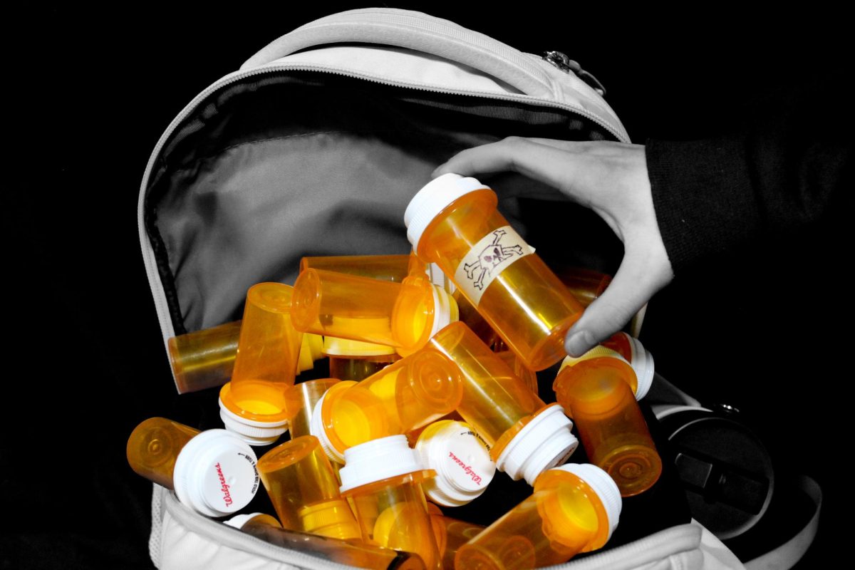 Opioid addiction can happen in any place to any person, and its costs can be devastating. In the past few years, McHenry County has been hit hard by the opioid epidemic, but has the services in place to prevent tragedy.