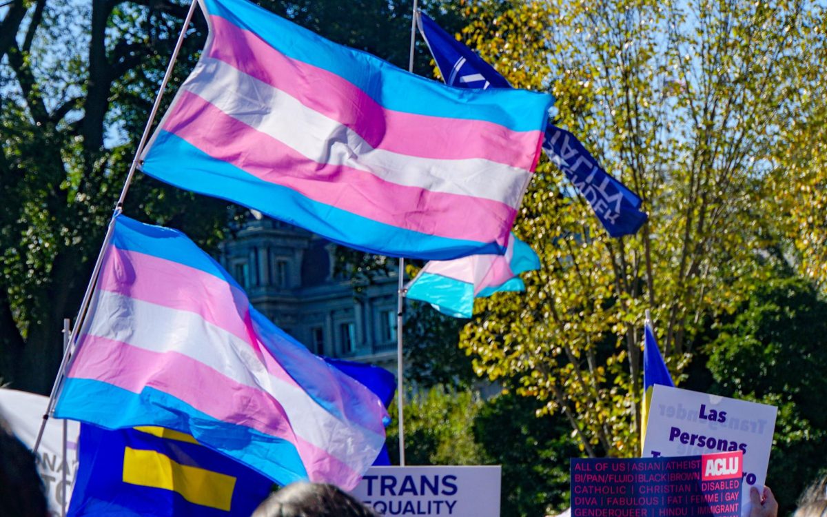 The transgender colors fly at a protest at a Rally for Trans Rights in Washington, DC on Oct. 22, 2018 during Trump's first presidency. During his second term, Trump is pushing to eliminate gender confirming care for trans children.