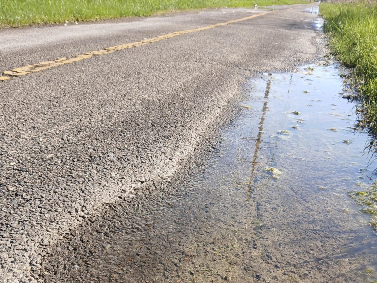 Trails all over McHenry have flooded as of Thursday, including this bike trail that follows train tracks into downtown. Flooding along the Fox River has shut down roads all over the county.