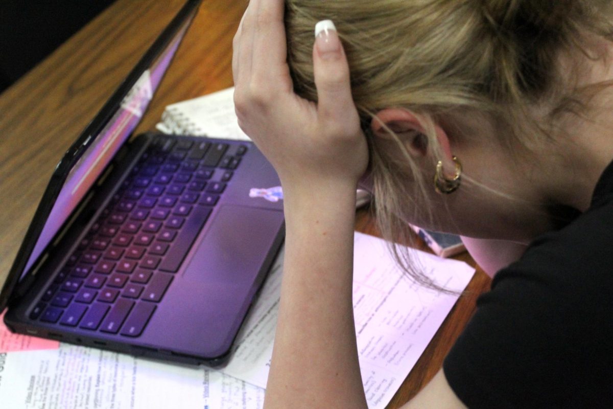 Student workloads vary from teacher to teacher, but most students know which teachers are overloading their students. If workloads don't ease up, MCHS will be come more stressful and less successful.