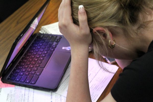 Student workloads vary from teacher to teacher, but most students know which teachers are overloading their students. If workloads don't ease up, MCHS will be come more stressful and less successful.